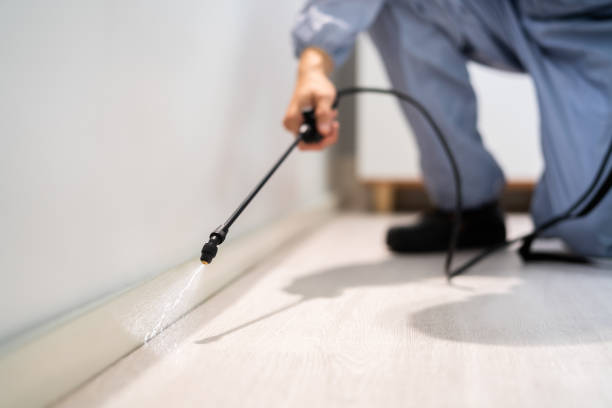 Licensed Cockroach Control service in Willacoochee, GA - Nex Pest Control