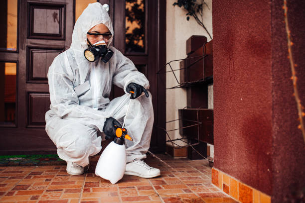 Reliable Cockroach Control contractor in Willacoochee, GA by Nex Pest Control